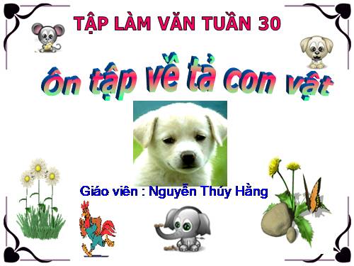 Tuần 30. Ôn tập về tả con vật