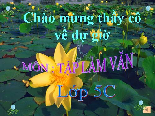 Tuần 6-11. Luyện tập làm đơn