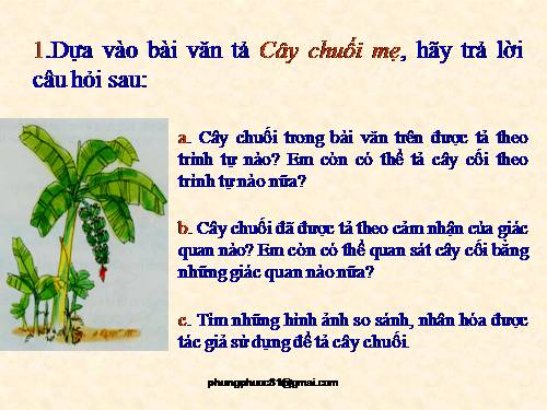 Tuần 27. Ôn tập về tả cây cối