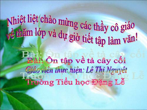 Tuần 27. Ôn tập về tả cây cối