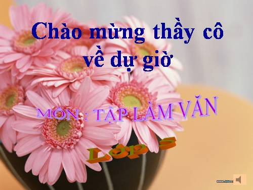 Tuần 6-11. Luyện tập làm đơn