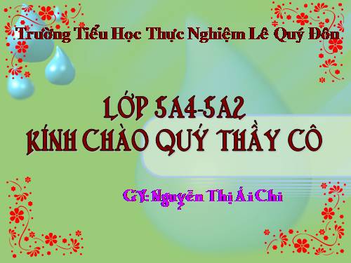 Tuần 1-2-3-4-6-7-8. Luyện tập tả cảnh