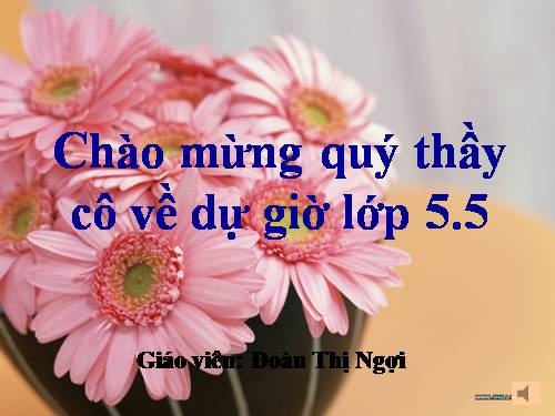 Tuần 6-11. Luyện tập làm đơn