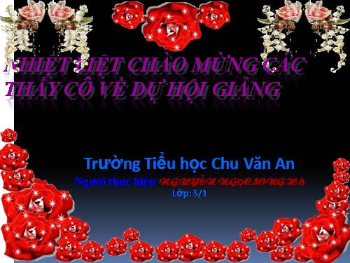 Tuần 20-21-23. Lập chương trình hoạt động