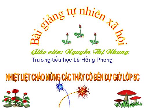 Tuần 1-2-3-4-6-7-8. Luyện tập tả cảnh