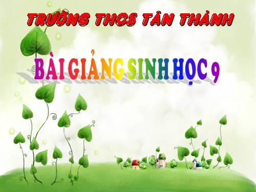 Bài 2. Lai một cặp tính trạng