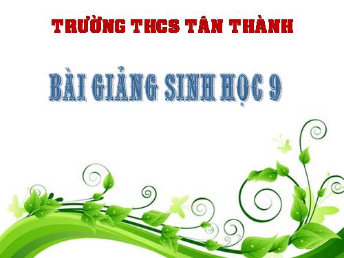 Bài 21. Đột biến gen