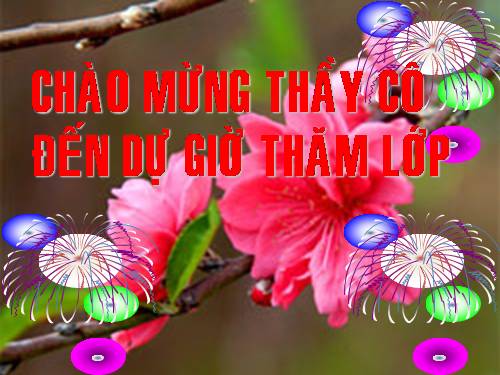 Bài 14. Dấu ngoặc kép