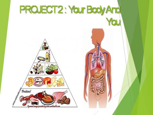 Unit 02. Your Body and You. Lesson 8. Looking back - project