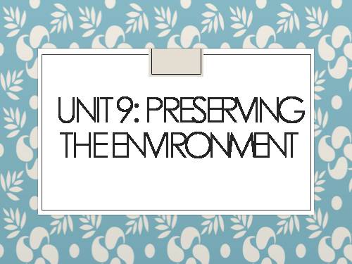 Unit 09. Preserving the Environment. Lesson 4. Speaking