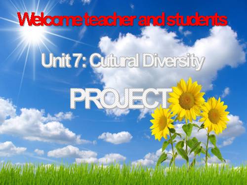 Unit 07. Cutural Diversity. Lesson 8. Looking back - project