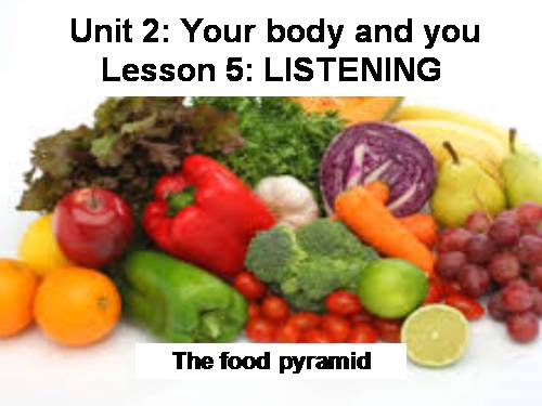 Unit 02. Your Body and You. Lesson 5. Listening