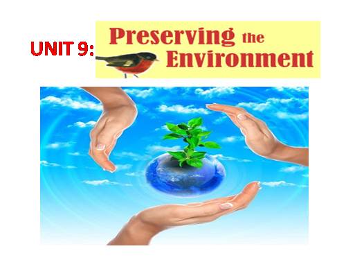 Unit 09. Preserving the Environment. Lesson 1. Getting started