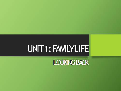 Unit 01. Family Life. Lesson 8. Looking back - project