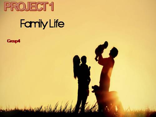 Unit 01. Family Life. Lesson 8. Looking back - project