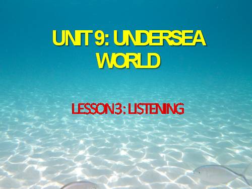 Unit 9. Undersea world