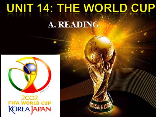 Unit 14. The world cup