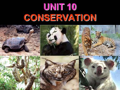 Unit 10. Conservation