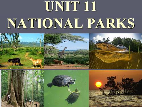 Unit 11. National parks