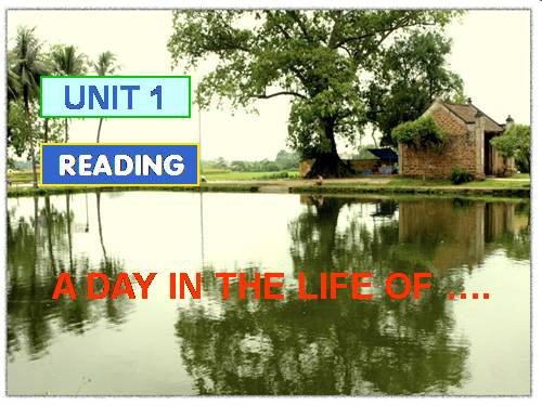 Unit 1. A day in the life of