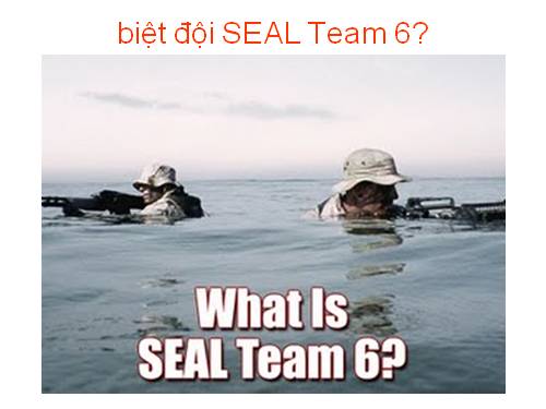 What is SEAL Team 6?