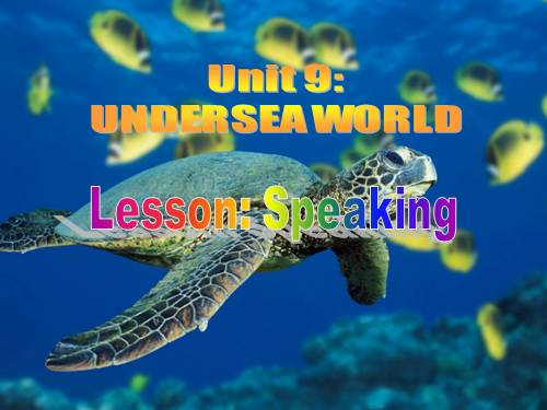 Unit 9. Undersea world