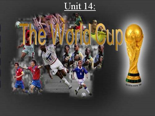 Unit 14. The world cup