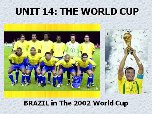 Unit 14. The world cup