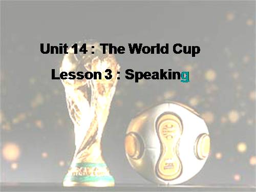 Unit 14. The world cup