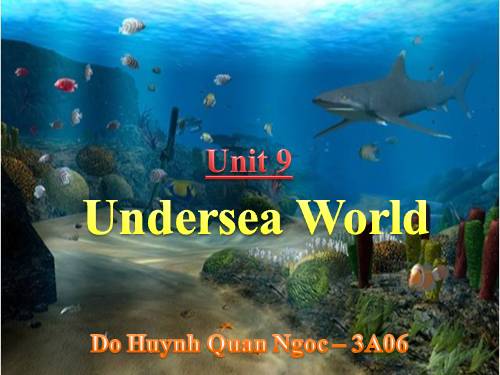 Unit 9. Undersea world