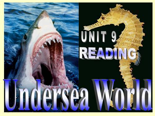 Unit 9. Undersea world