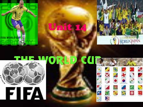 Unit 14. The world cup