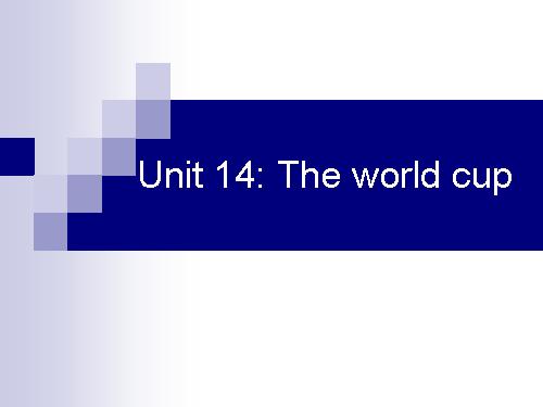 Unit 14. The world cup