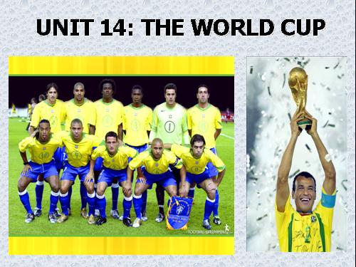 Unit 14. The world cup