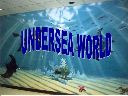 Unit 9. Undersea world