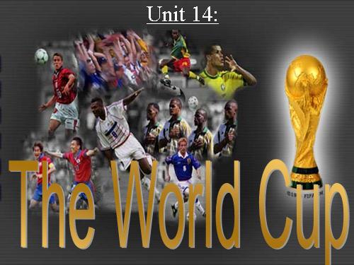 Unit 14. The world cup