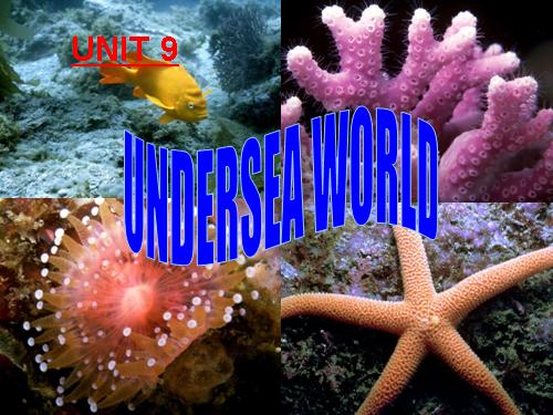 Unit 9. Undersea world