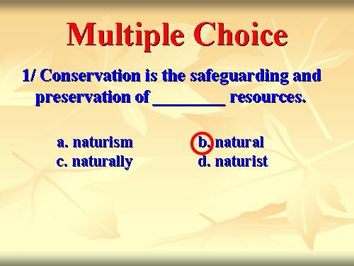 multiple choice