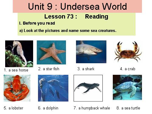 Unit 9. Undersea world