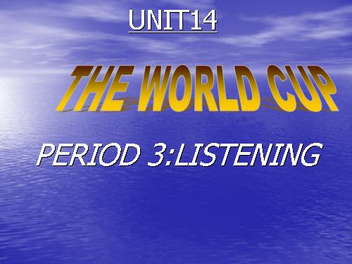 Unit 14. The world cup