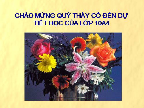 ÔN TẬP CHƯƠNG 2 ĐẠI SỐ 10