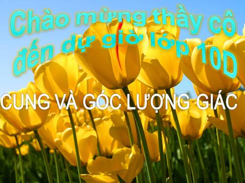 Chương VI. §1. Cung và góc lượng giác