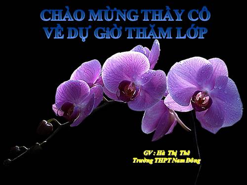 Chương VI. §2. Giá trị lượng giác của một cung