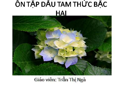 Chương IV. §5. Dấu của tam thức bậc hai