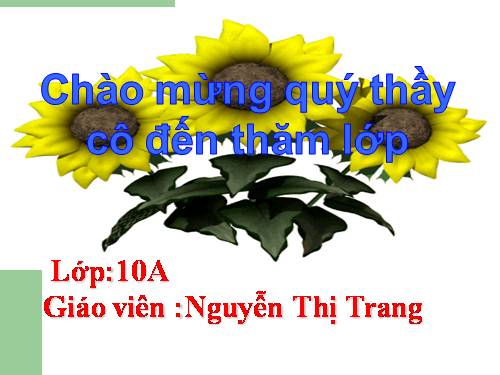 Chương II. §3. Hàm số bậc hai