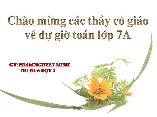 Các bài Luyện tập