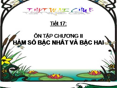 Ôn tập Chương II. Hàm số bậc nhất và bậc hai