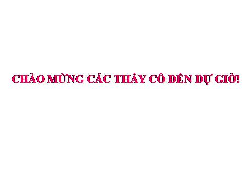 pt vô tỷ