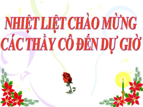 Các bài Luyện tập