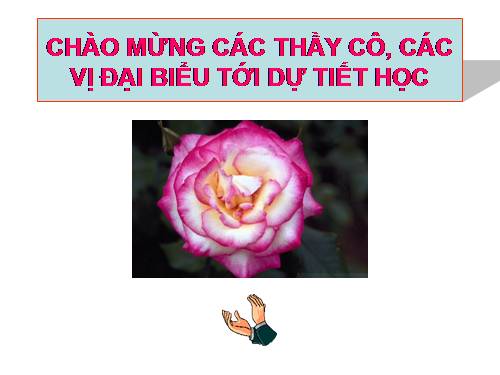 Chương VI. §1. Cung và góc lượng giác